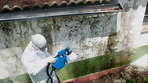 Top rated local Commercial Mold Remediation specialists in Church Creek, MD